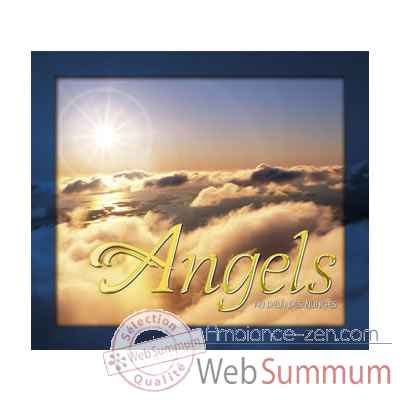 CD Angels Vox Terrae-17109740