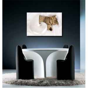 Radiateur tableau imprime sur verre - tableau chauffant - 350w horiz Tonic Vibe -TV-DECGLASS-014